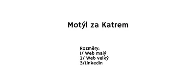Motýl za katrem mění pohled na vězeňství
